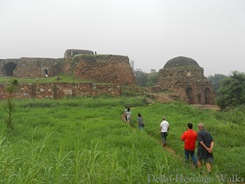 Special Heritage Walk:  Jahanpanah & Begumpur